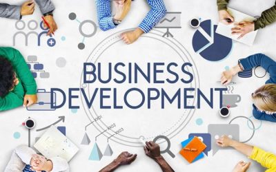 How Small Business Owners Can Benefit from Business Development Training