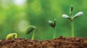 start small