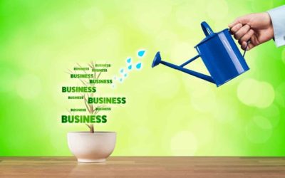 The Small Business That Grew Faster After Refining Its Sales Process