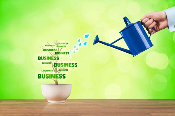The Small Business That Grew Faster After Refining Its Sales Process